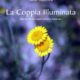 La coppia illuminata - Fabio Marchesi (approfondimento)